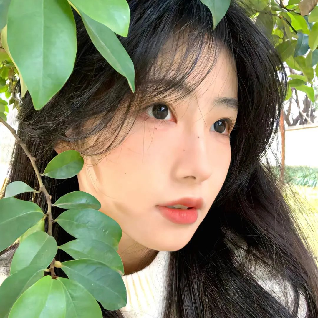 寻物少女